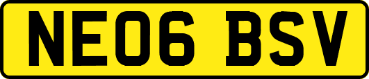 NE06BSV