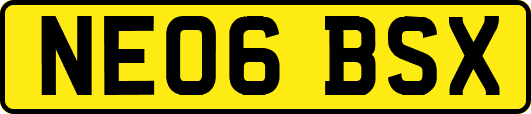 NE06BSX