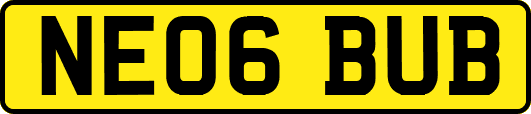 NE06BUB