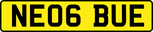NE06BUE