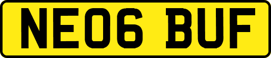 NE06BUF
