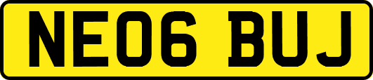 NE06BUJ
