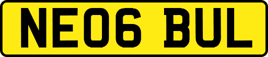 NE06BUL