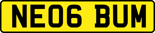 NE06BUM