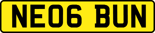NE06BUN