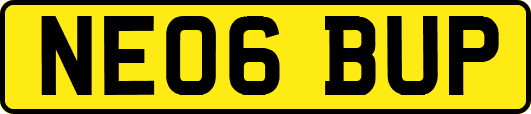 NE06BUP