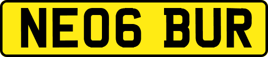 NE06BUR