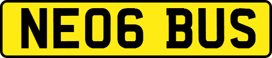 NE06BUS