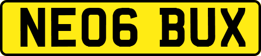 NE06BUX
