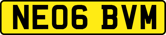 NE06BVM