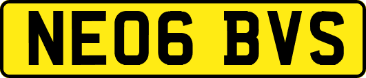 NE06BVS