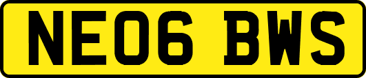 NE06BWS