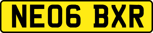 NE06BXR