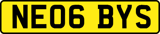 NE06BYS