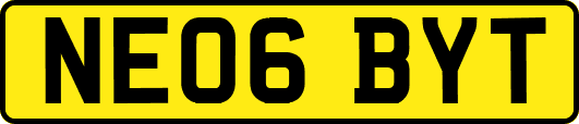 NE06BYT
