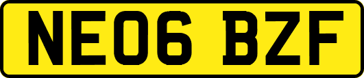 NE06BZF