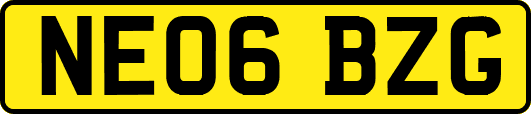 NE06BZG