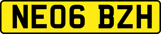 NE06BZH