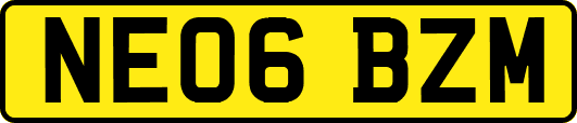NE06BZM