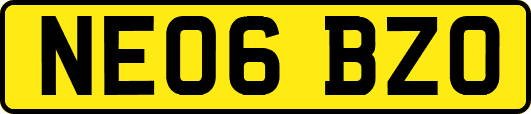 NE06BZO