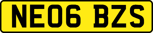NE06BZS