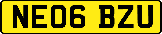 NE06BZU