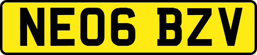 NE06BZV