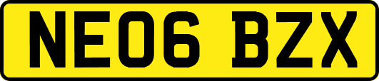 NE06BZX