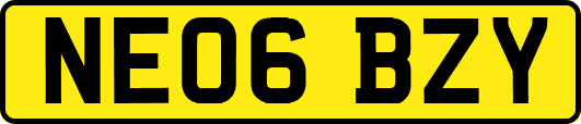 NE06BZY