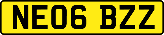 NE06BZZ