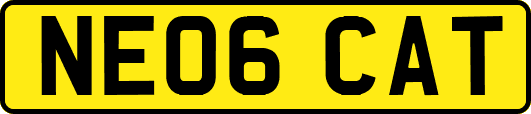 NE06CAT