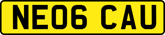NE06CAU