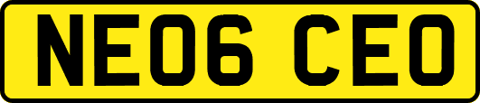 NE06CEO