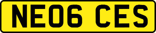 NE06CES