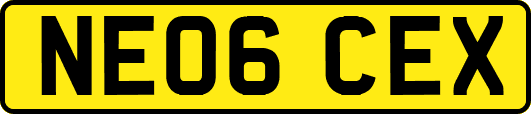 NE06CEX