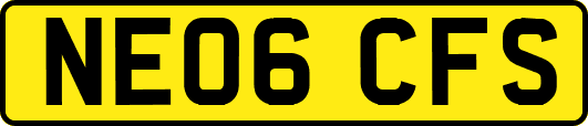 NE06CFS