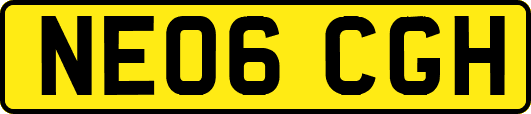 NE06CGH