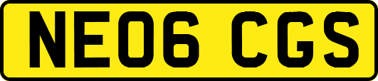 NE06CGS