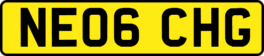 NE06CHG