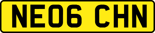 NE06CHN
