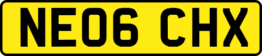 NE06CHX