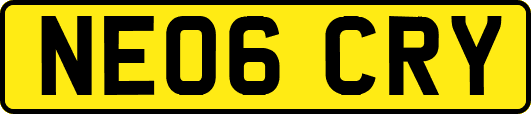 NE06CRY