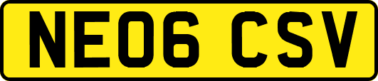 NE06CSV