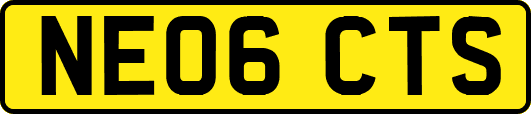 NE06CTS
