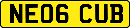 NE06CUB