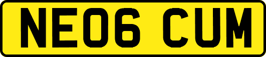 NE06CUM
