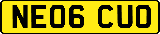 NE06CUO