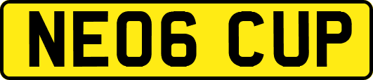 NE06CUP