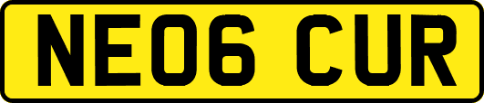NE06CUR