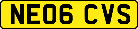 NE06CVS